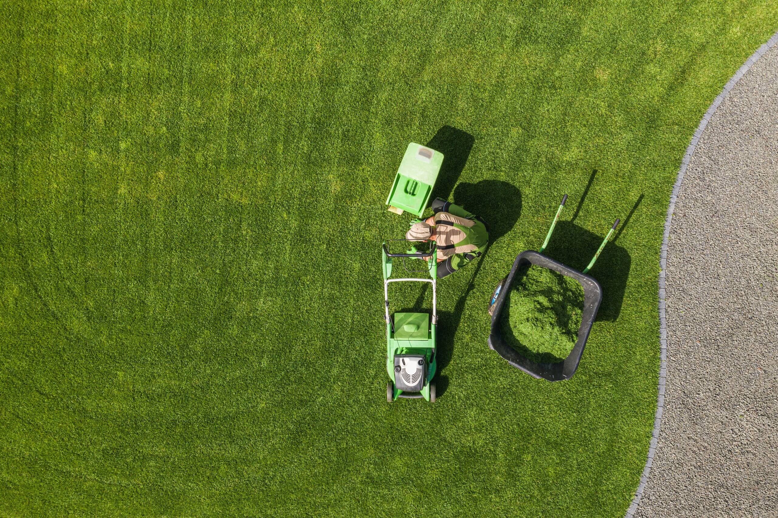 Lawn care tools on green grass